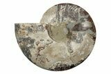 Cut & Polished Ammonite Fossil (Half) - Madagascar #342132-1